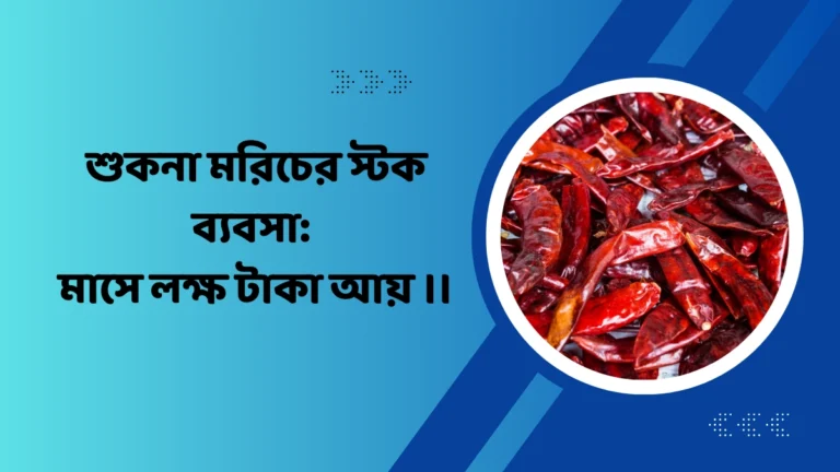 শুকনা মরিচের স্টক ব্যবসা